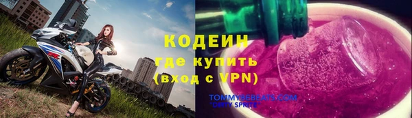 МДПВ Ельня