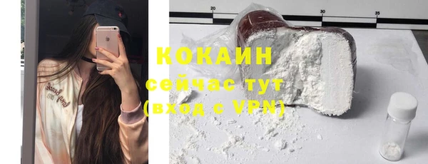 МДПВ Ельня