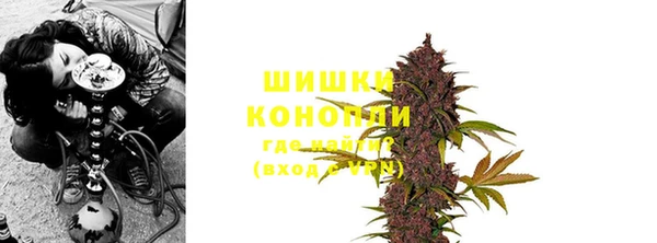 МДПВ Ельня