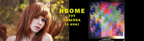 МДПВ Ельня