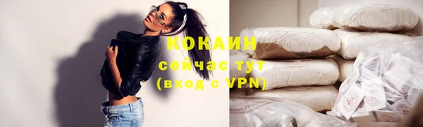 крисы Дмитровск