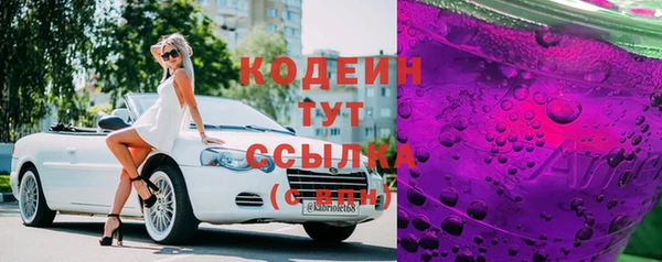 МДПВ Ельня