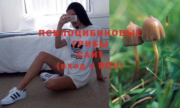 МДПВ Ельня