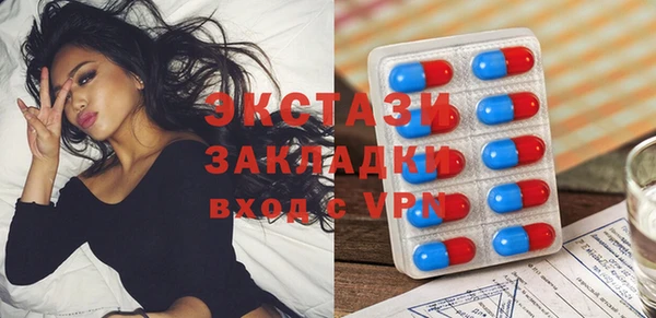 МДПВ Ельня