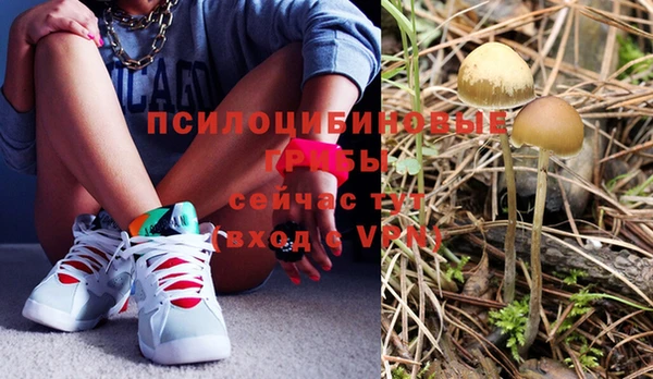 дурь Дмитров