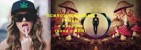 МДПВ Ельня