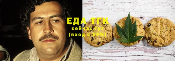 МДПВ Ельня