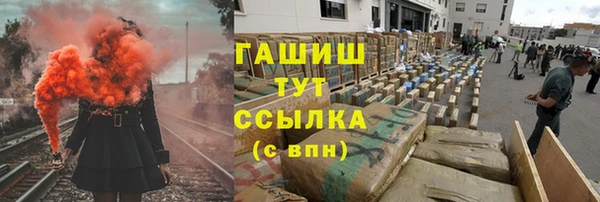 МДПВ Ельня