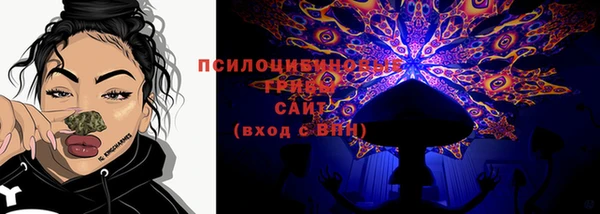 МДПВ Ельня