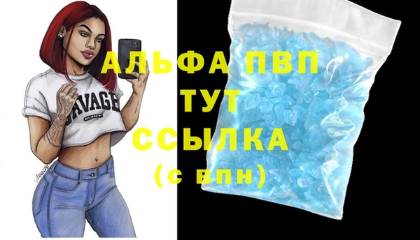 винт Елабуга