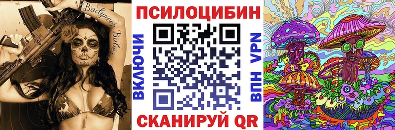 Купить закладки  Санкт-Петербург  Псилоцибиновые грибы Cubensis 